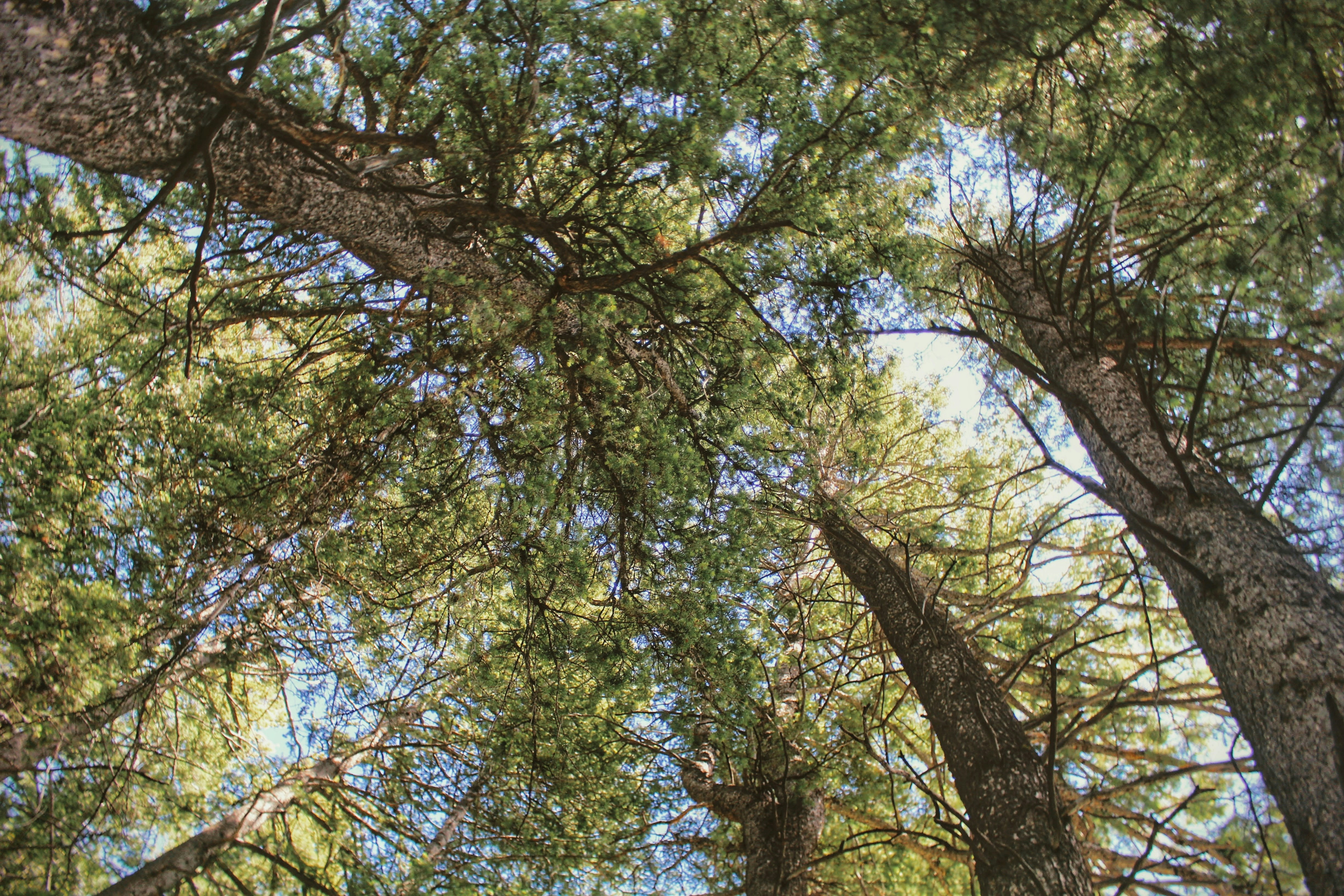 Photo by joshua_hoehne