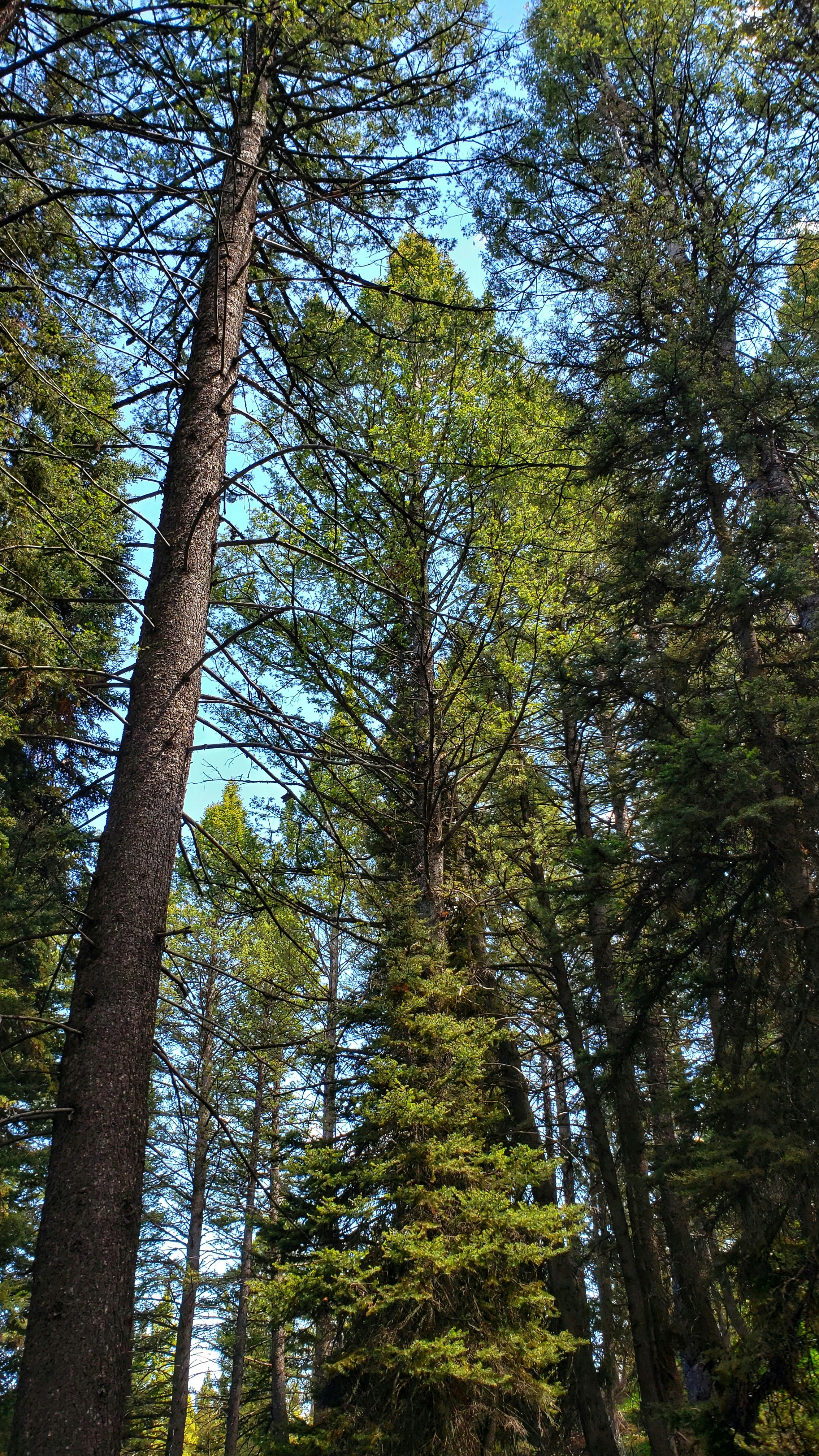 Photo by joshua_hoehne