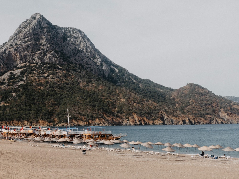 people on beach near mountain during daytime