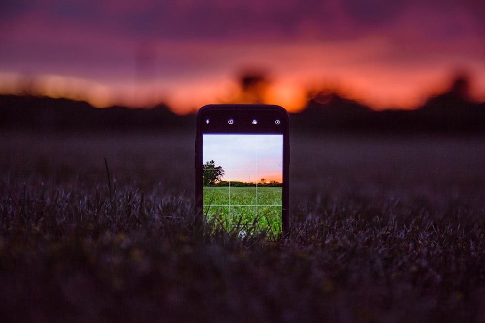 夕暮れ時の緑の芝生の上の黒いiPhone 5