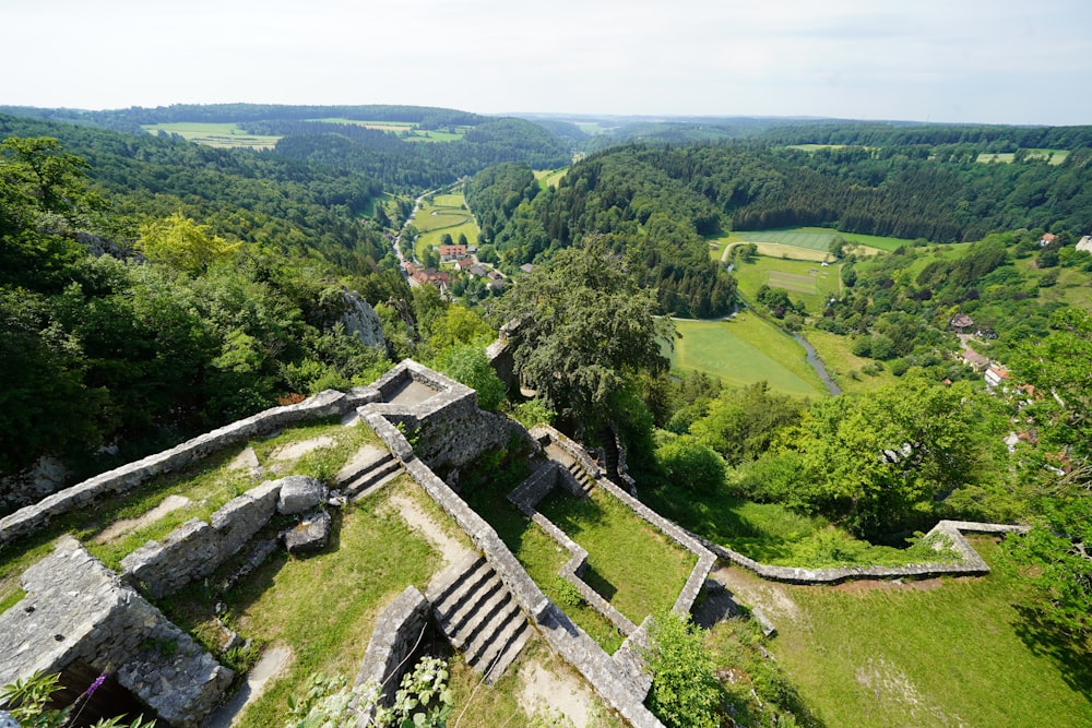 aerial view of green trees and grass field during daytime