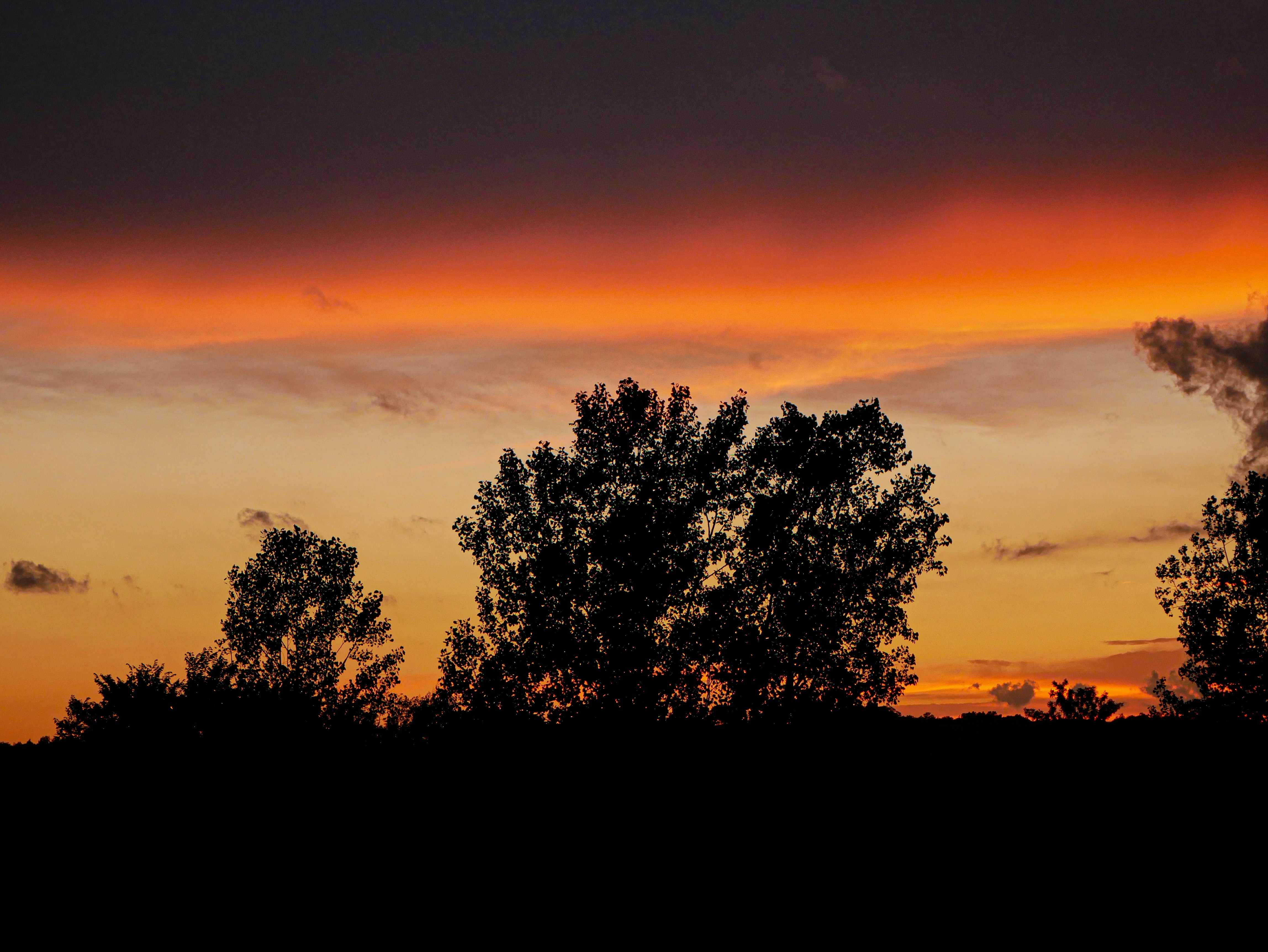 Photo by walkersterling