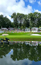 green golf cart on green grass field near body of water during daytime
