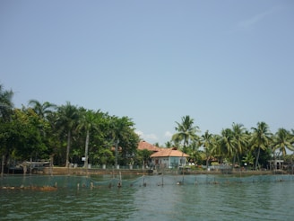 A tranquil scene featuring a body of water in the foreground with nets in place, possibly for aquaculture or fishing. In the background, there's lush greenery including palm trees and a house with a red-tiled roof. The sky is clear and blue, enhancing the peaceful and tropical atmosphere.