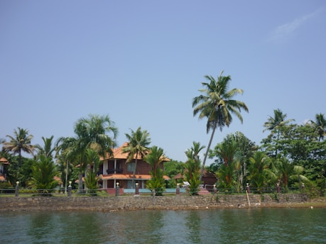 A serene view of a traditional Djerba house surrounded by palm trees and blue skies.