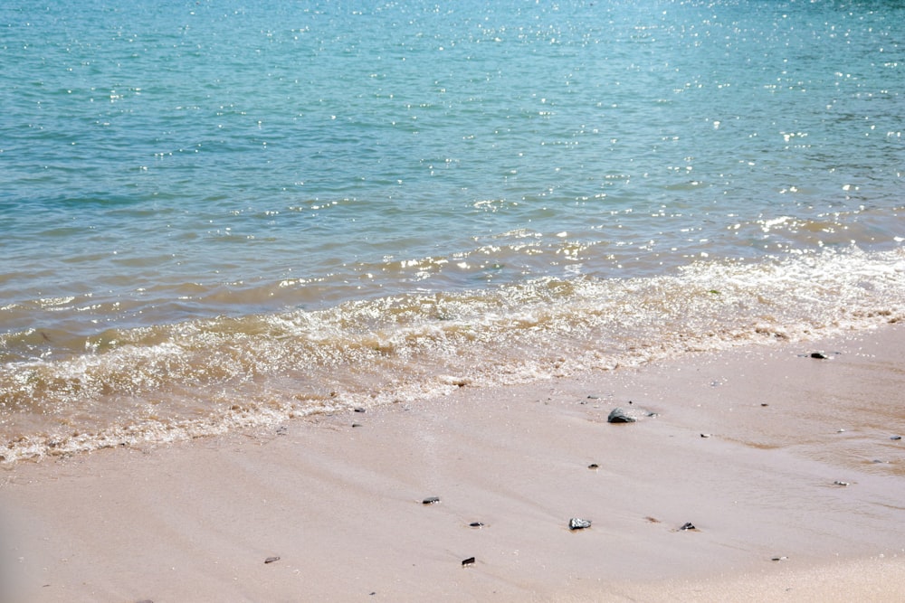 footprints on the sand by the sea during daytime