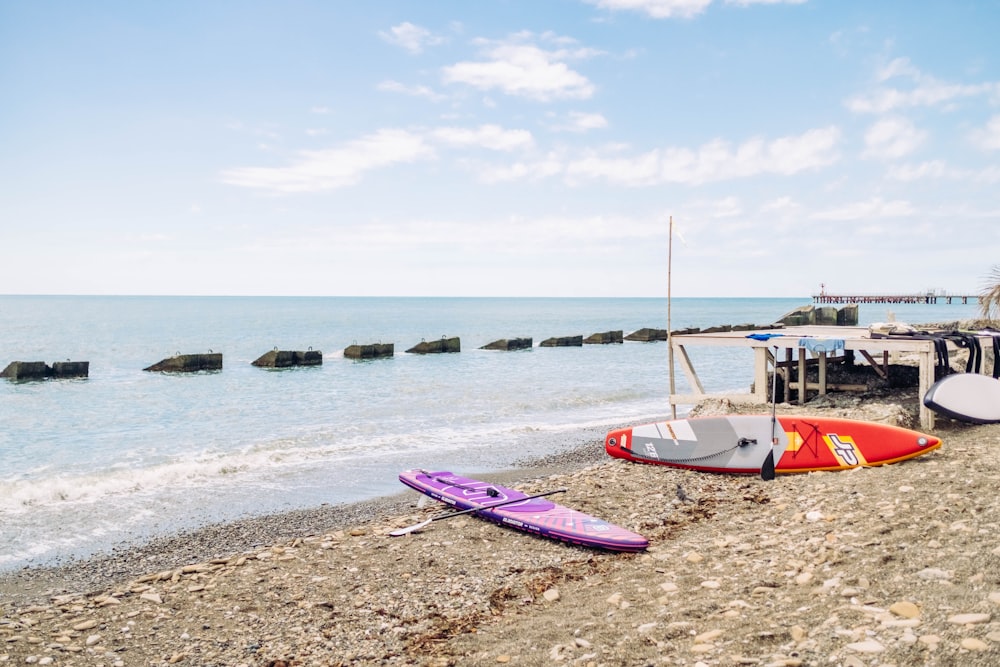 white and purple boat on beach during daytime