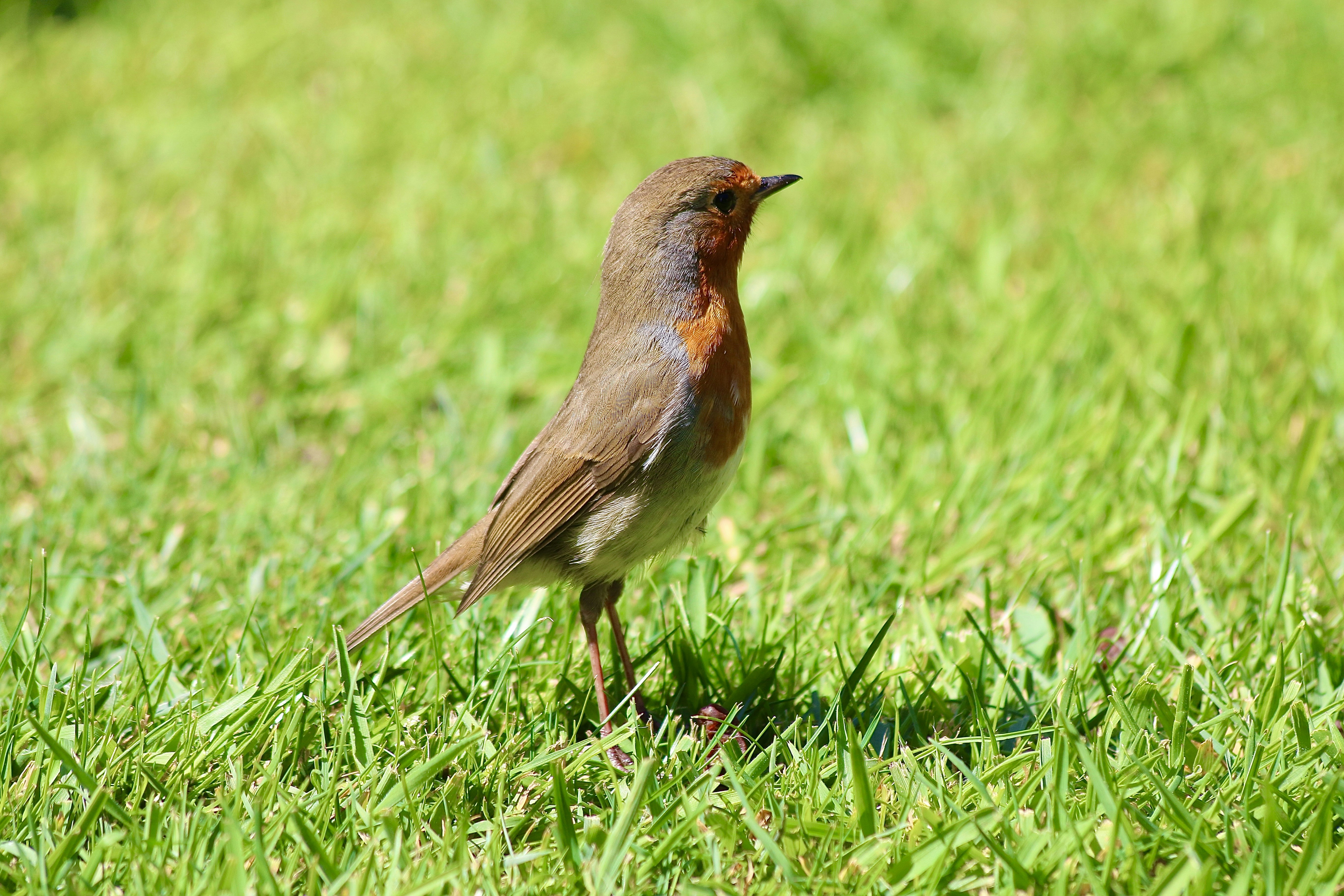 Photo by mrrambuctious