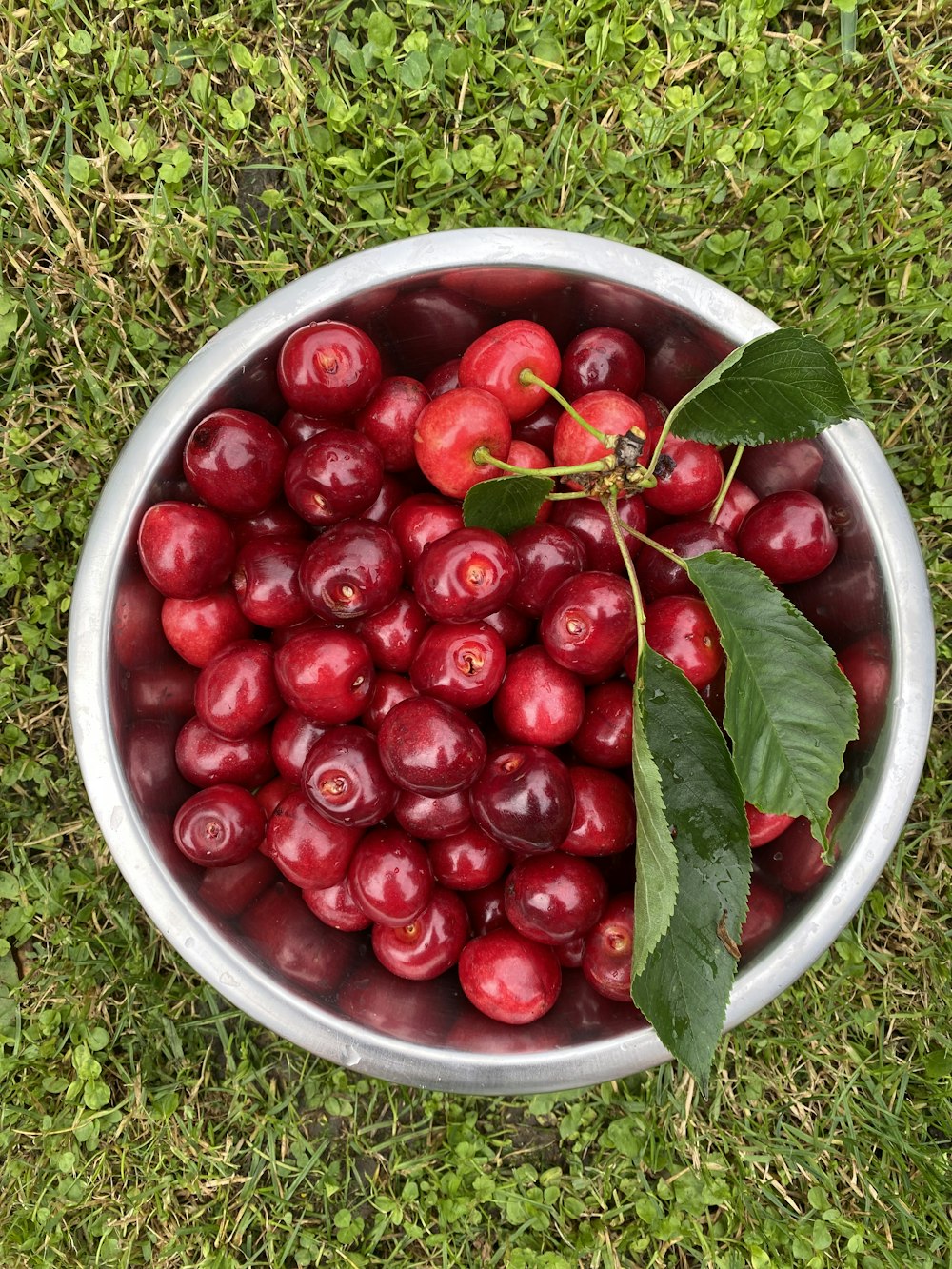 red round fruits in white round container