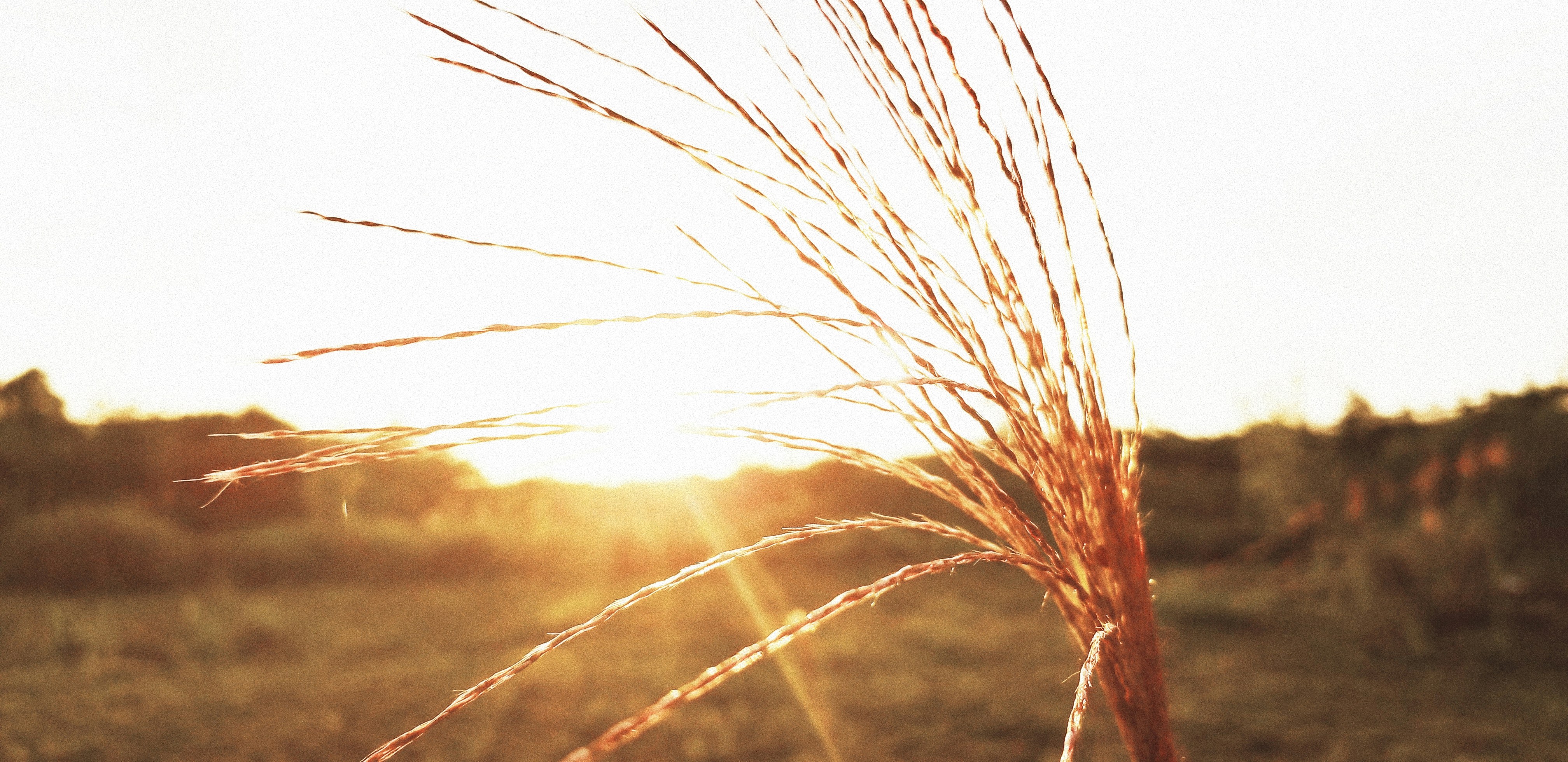 2 of the best eco hotels in Jingdezhen