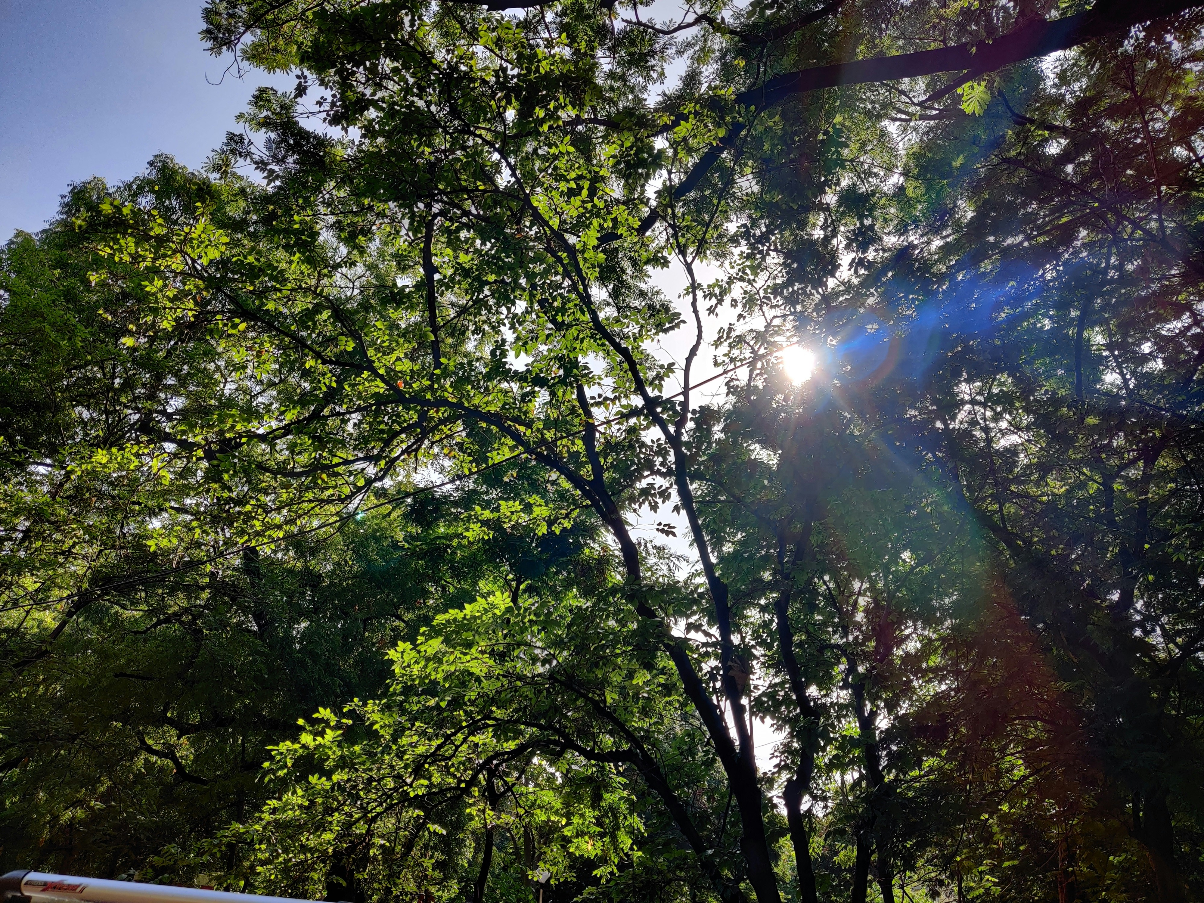 Photo by ramesh_photos