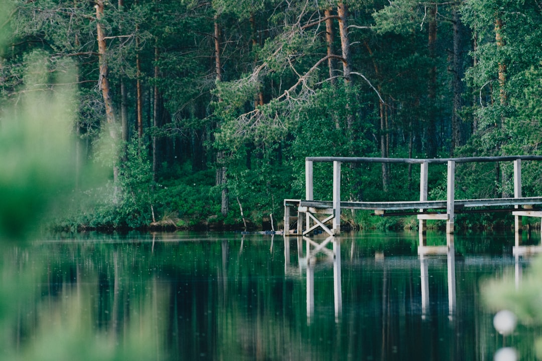 brown wooden dock on lake during daytime