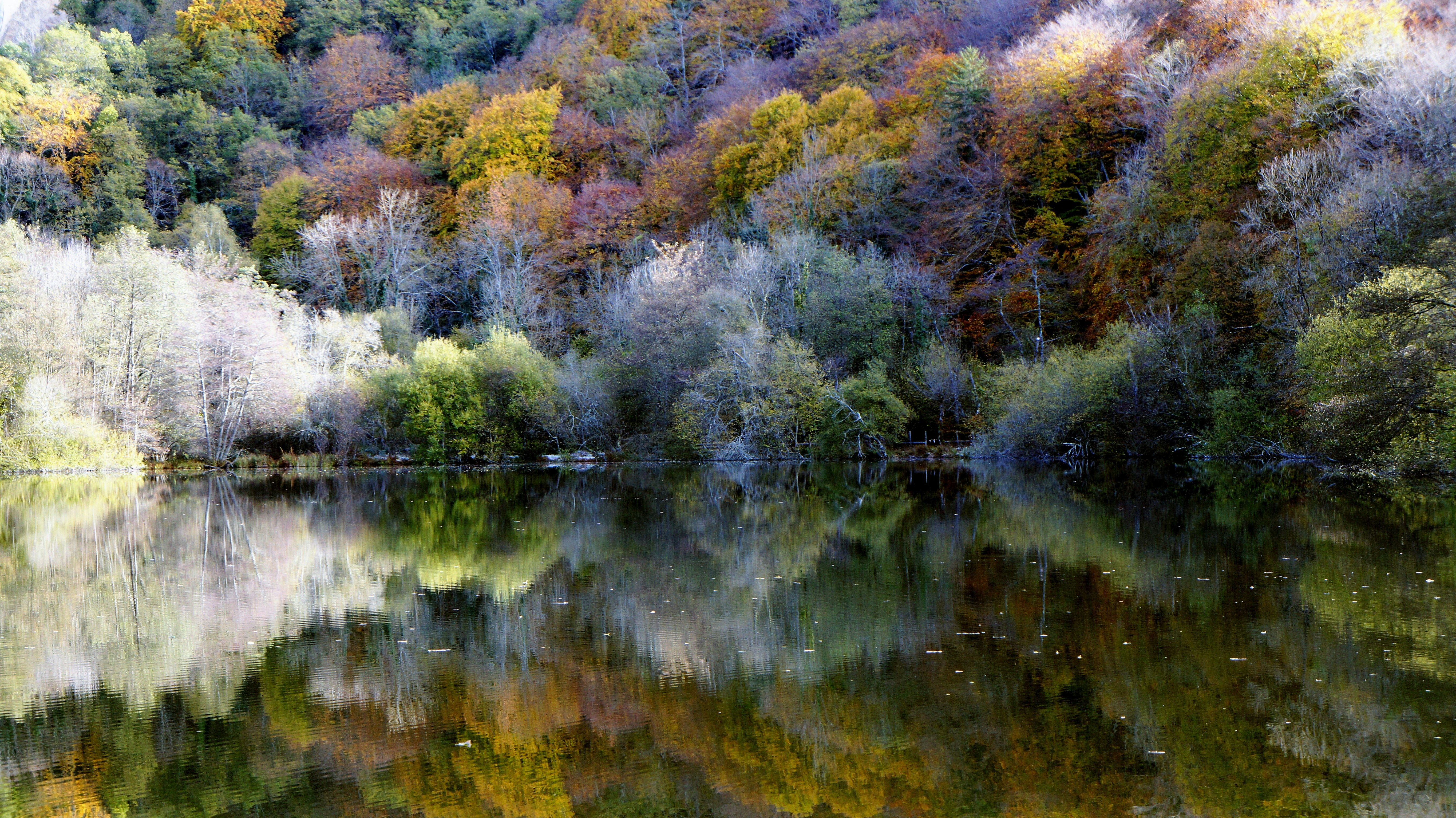 Hybrid Circuit Labs: Designing Portable Micro‑Workouts for Middle School PE (2026 Playbook)