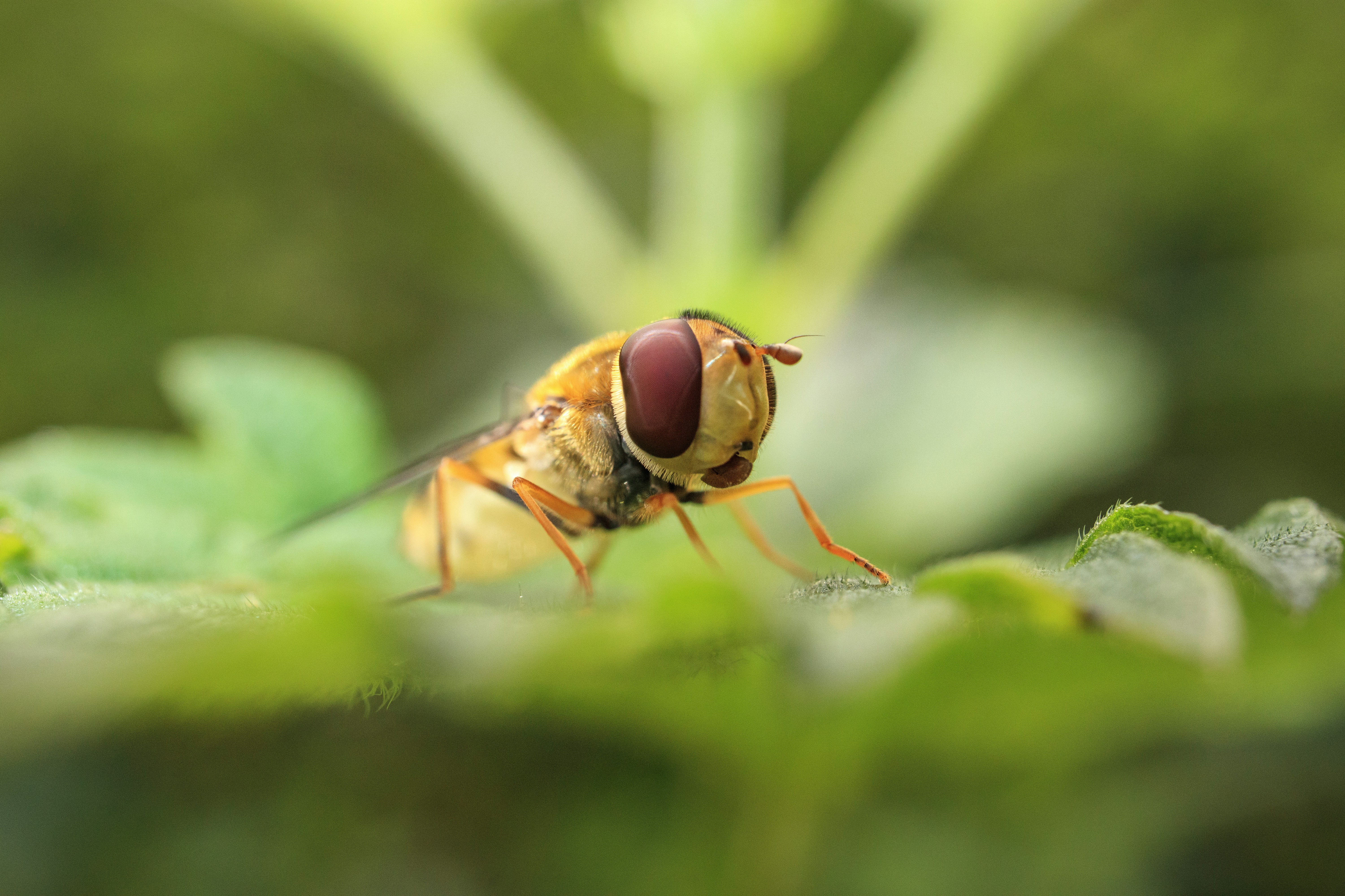 Photo by grievek1610begur