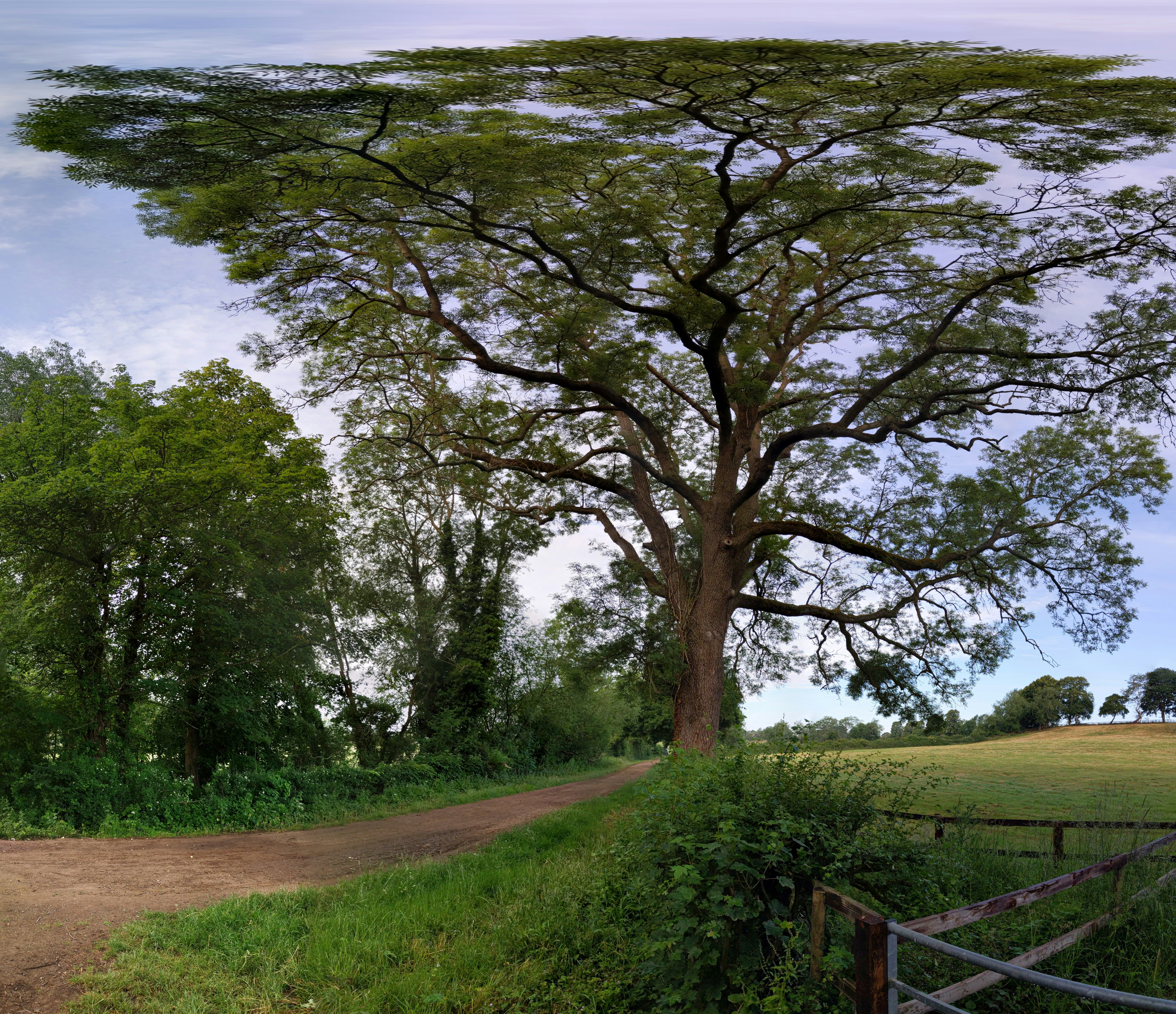 Green grass field with trees under white clouds and blue sky during ...