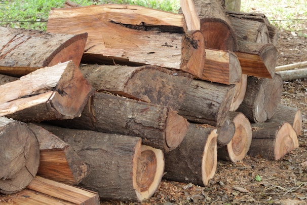 Several large pieces of wood are cut and stacked together on the ground outdoors. The logs display visible rings and rough bark textures. Surrounding the logs are scattered wood chips and leaf debris.