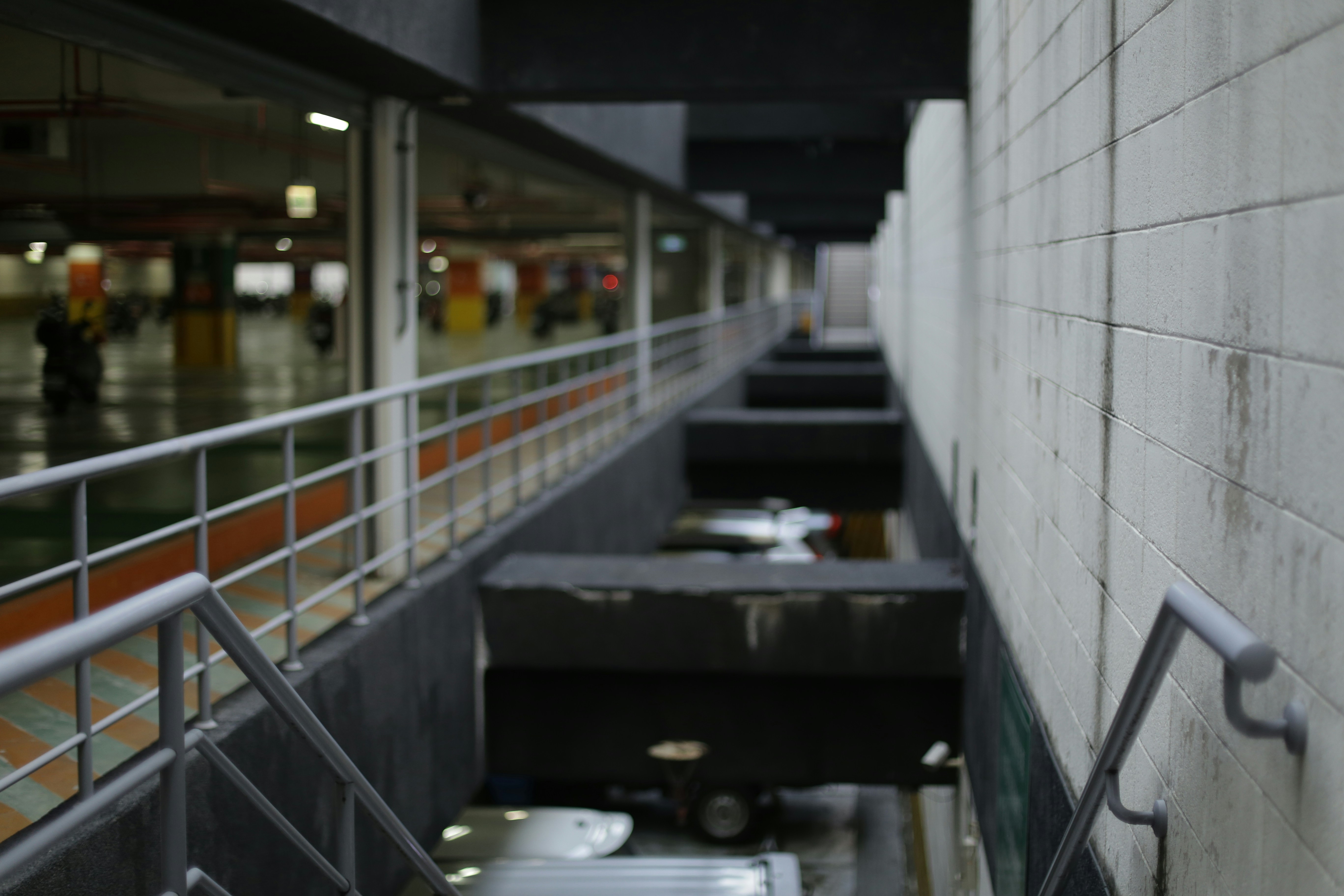 Photo by mclee