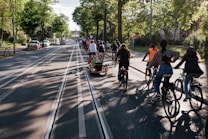 A group of cyclists rides along a road framed by tall trees on a sunny day. The shadows of the cyclists and trees create patterns on the pavement. Some cyclists wear helmets and one person is visible in a bright orange vest. Cars are parked on the left side, and a few vehicles drive down the opposite lane.