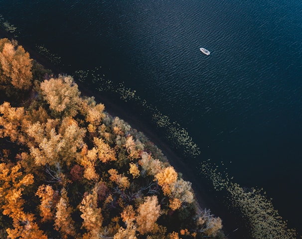 aerial view of body of water during daytime