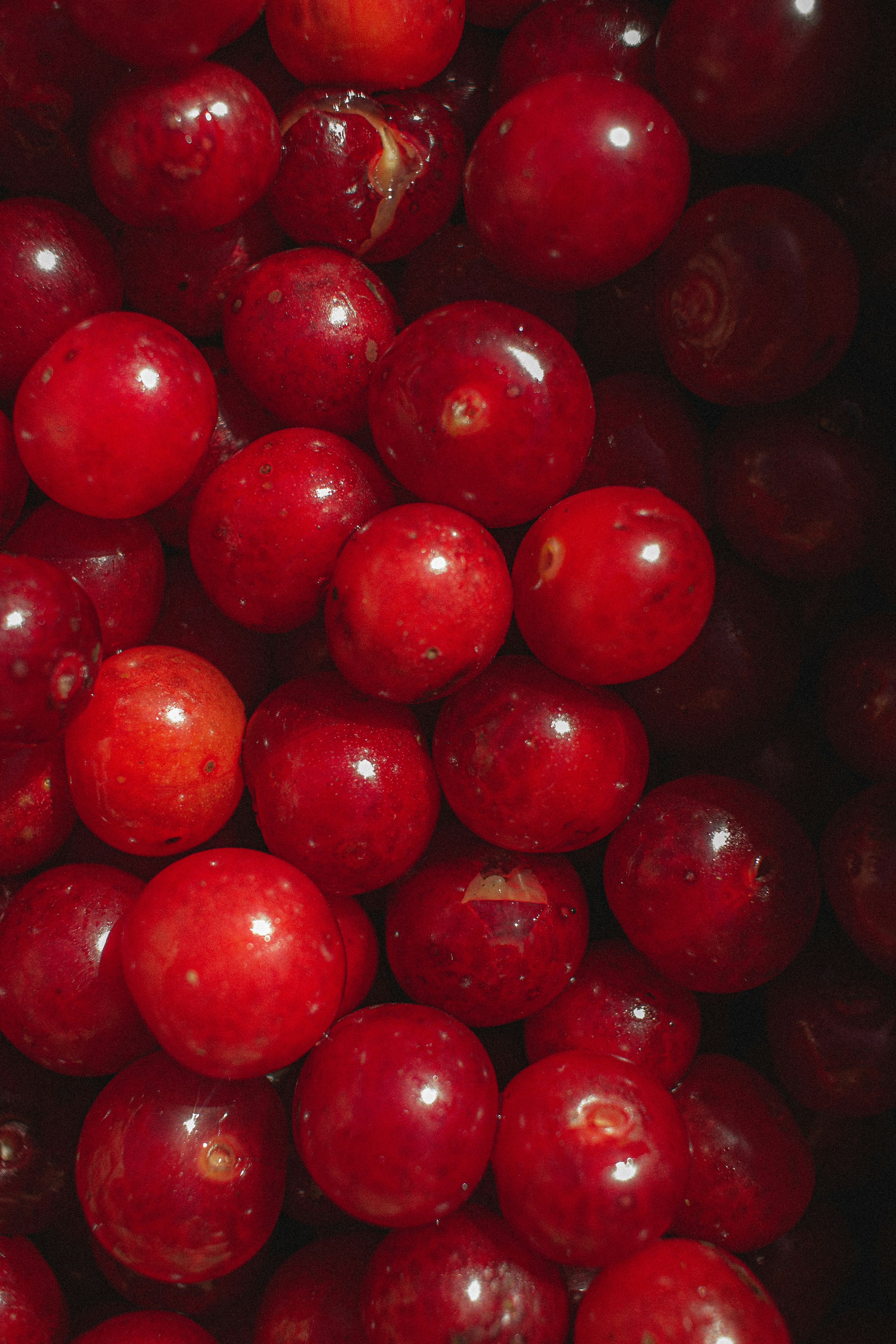 red cherry fruit in close up photography