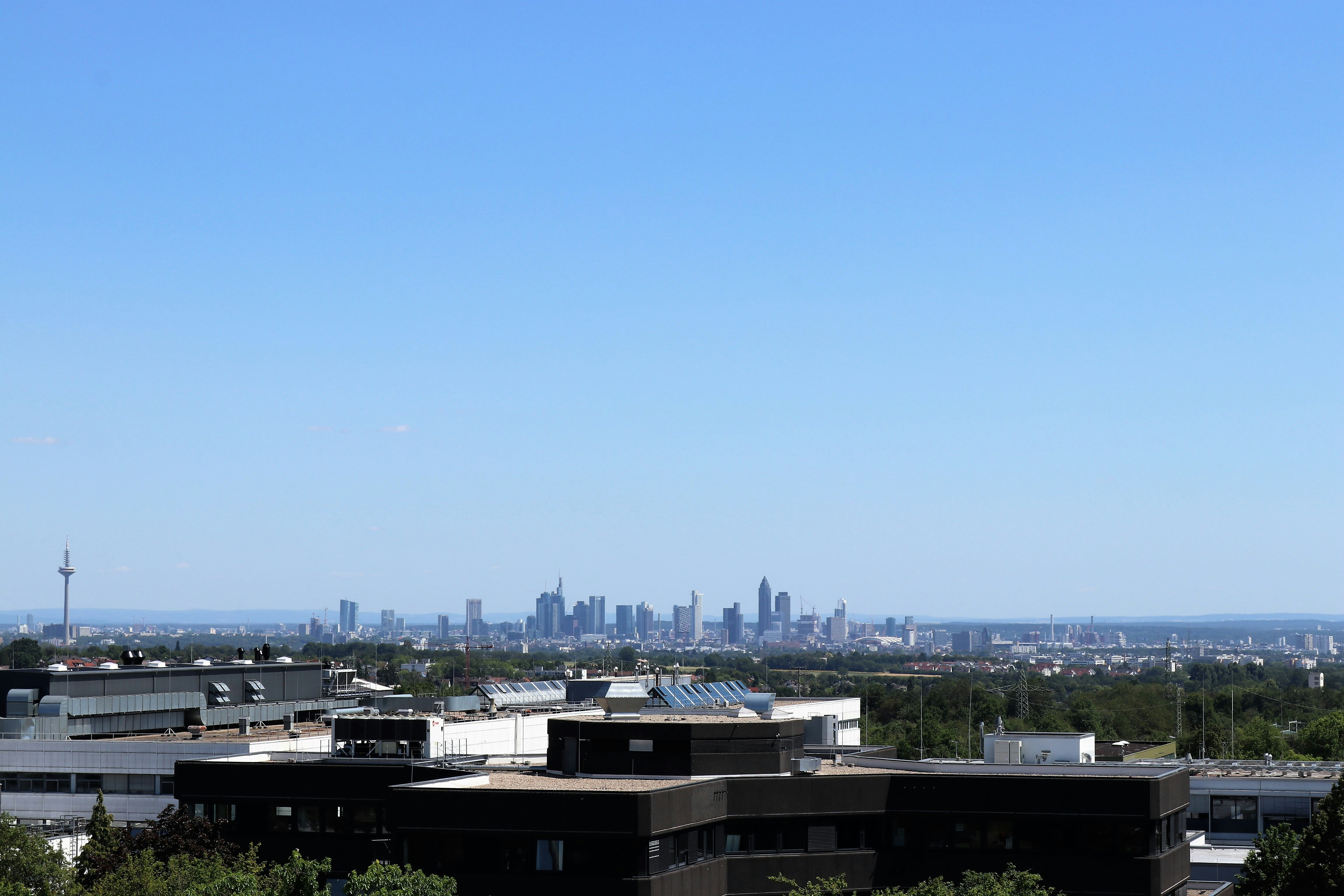 Photo by clemensvanlay