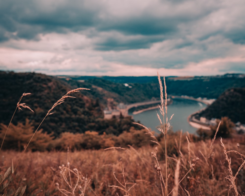 brown grass field near body of water under white clouds during daytime