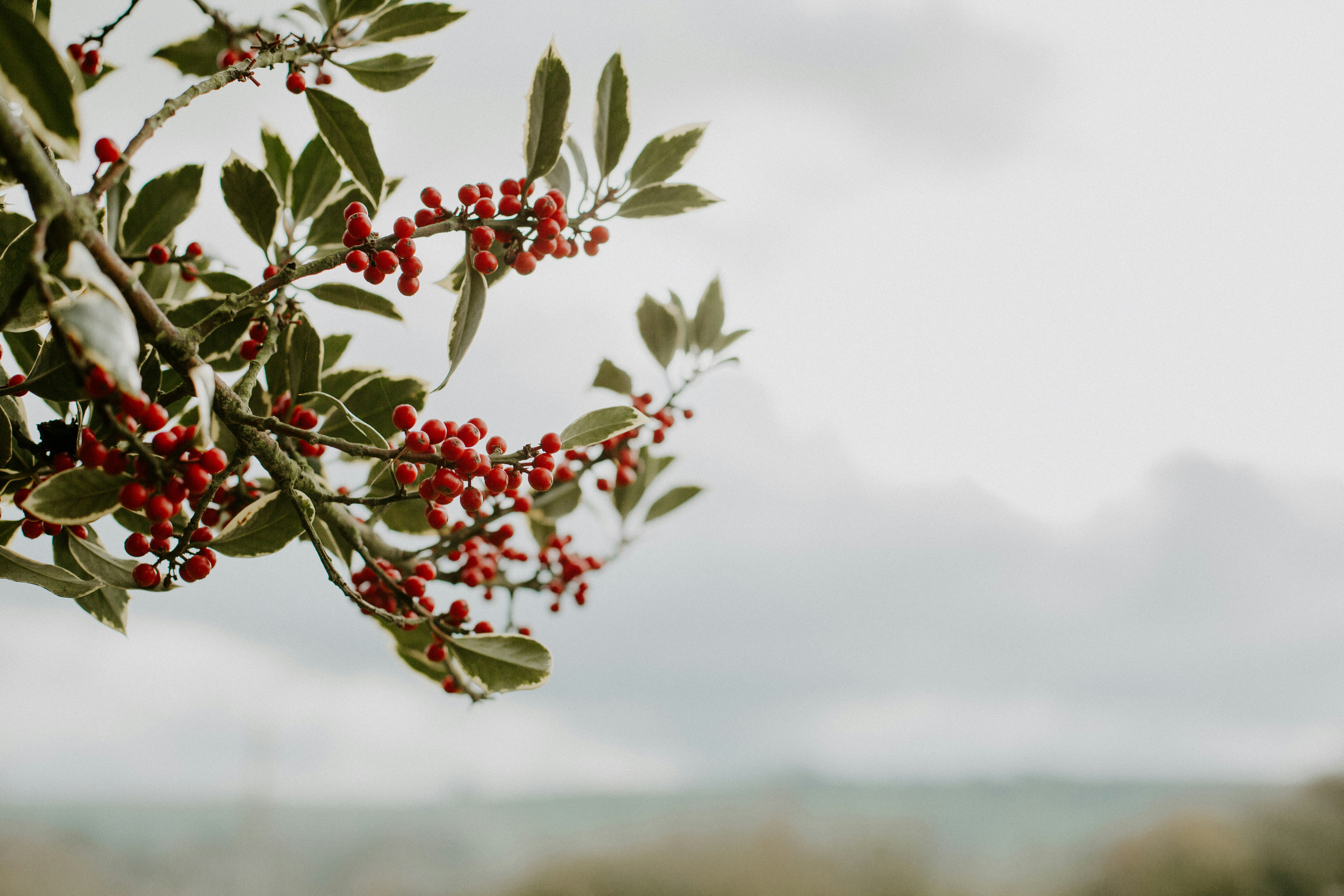 Photo by ashleighjoyphotography