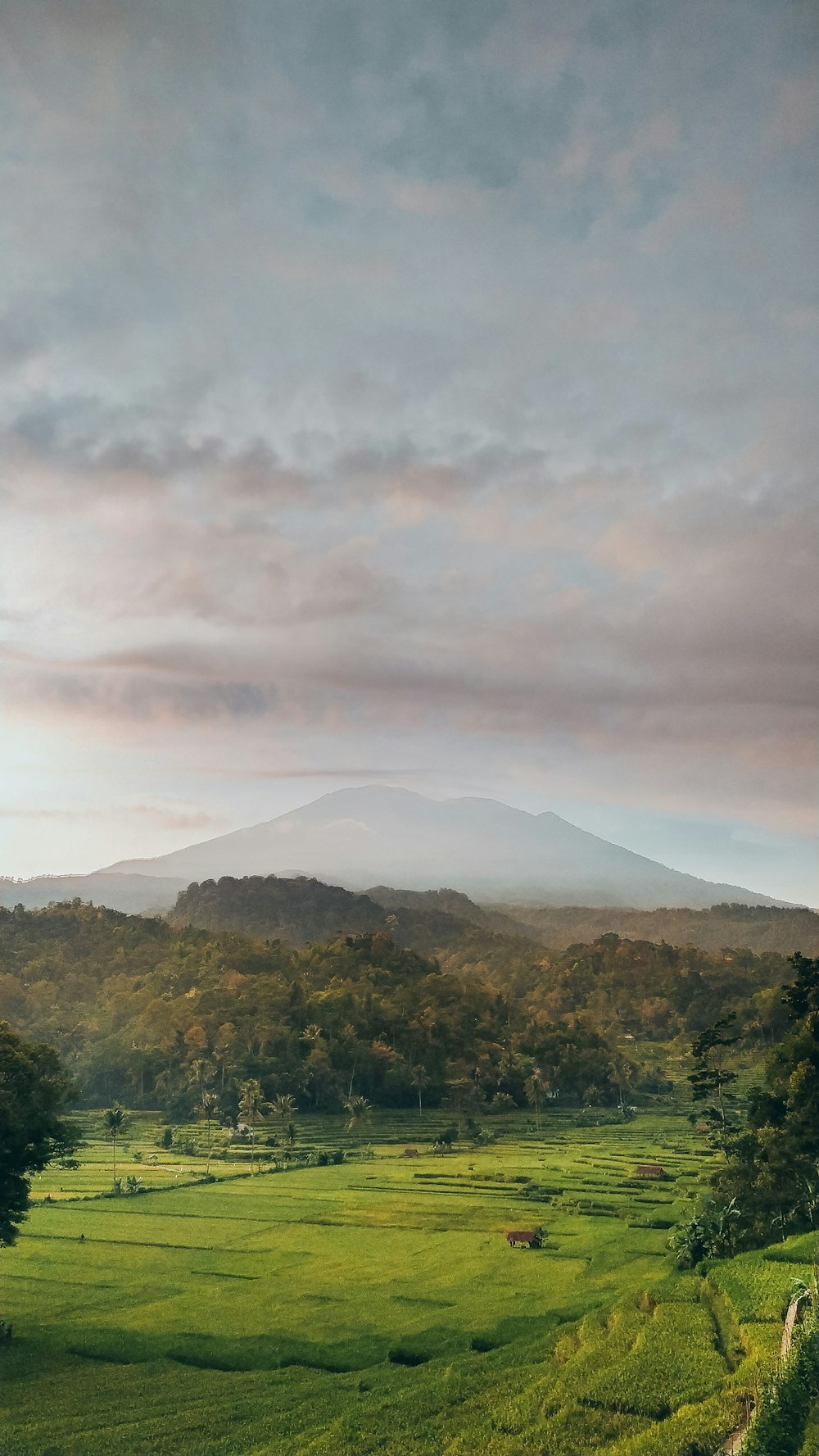 green trees and mountain under cloudy sky during daytime