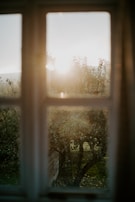 A calm garden space with greenery and soft sunlight filtering through.