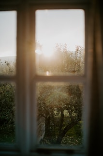 A calm garden space with greenery and soft sunlight filtering through.
