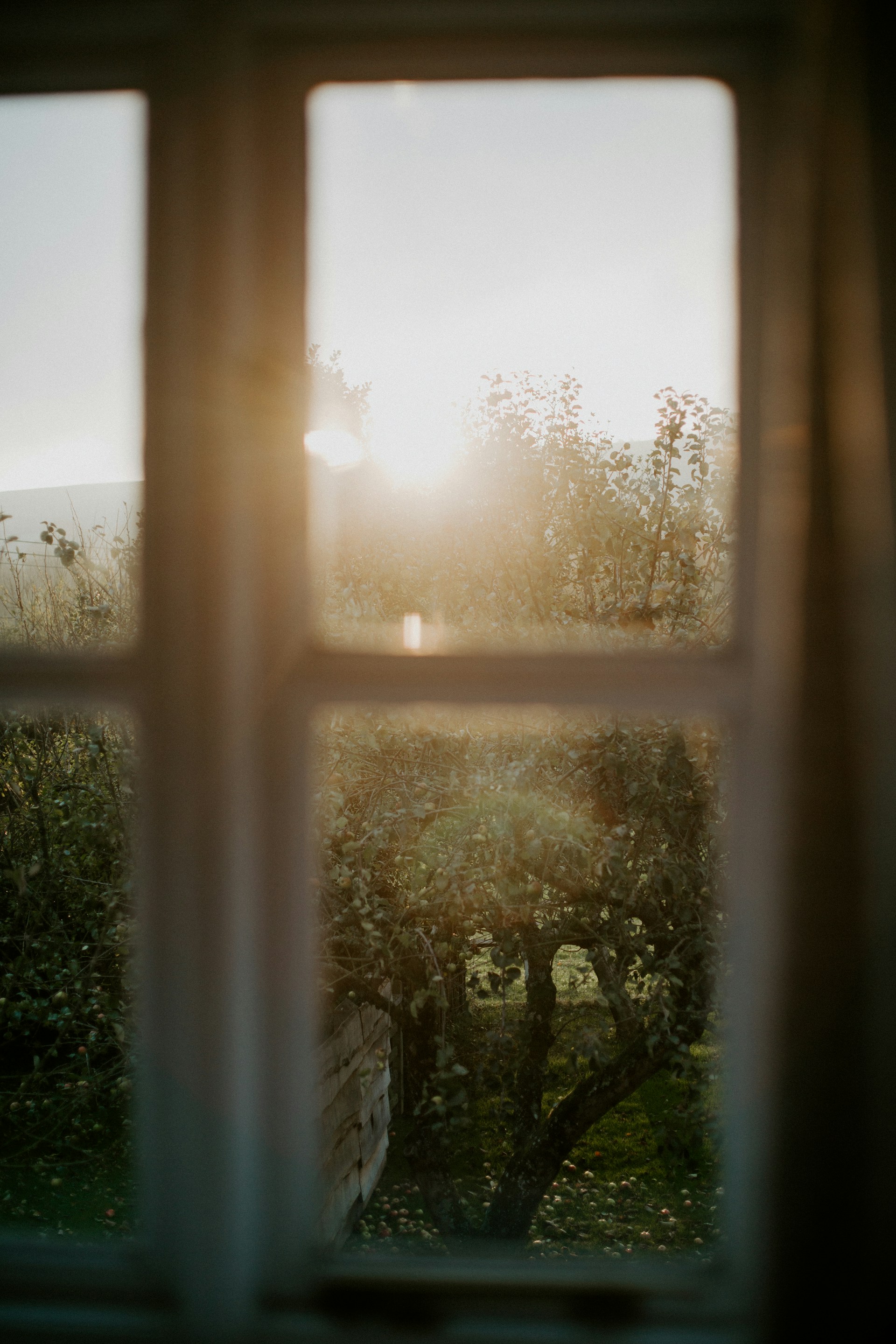 A peaceful outdoor scene with children playing in a garden under soft sunlight.
