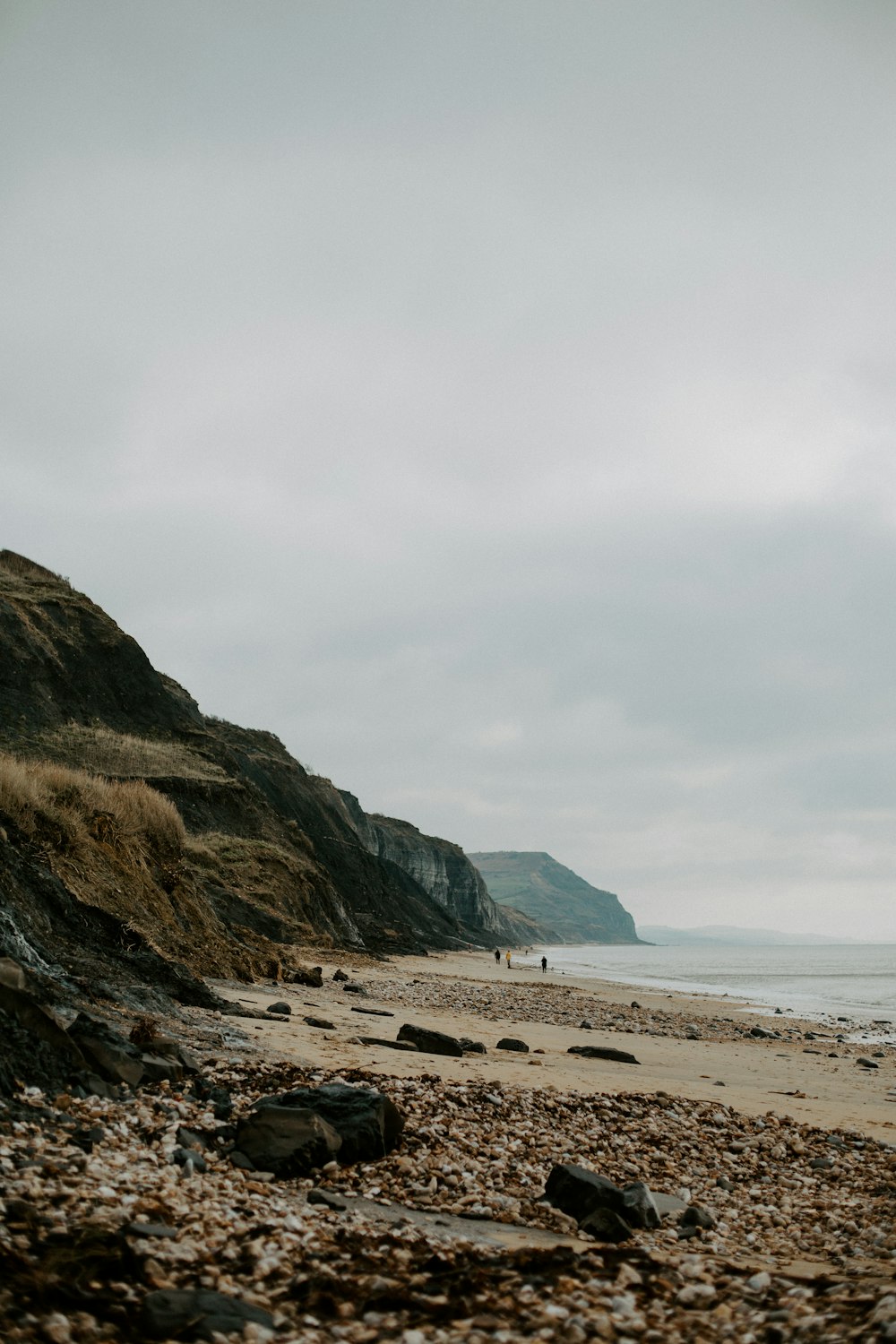 personnes sur la plage pendant la journée