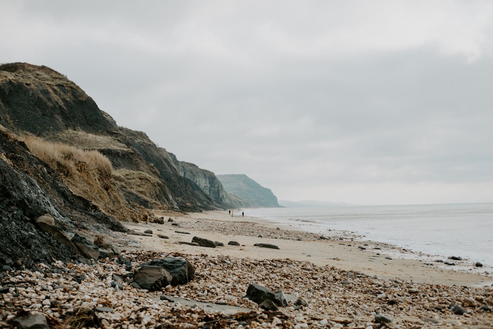 brown rocky shore near body of water during daytime