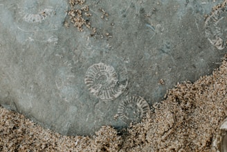 grey round concrete wall with hole