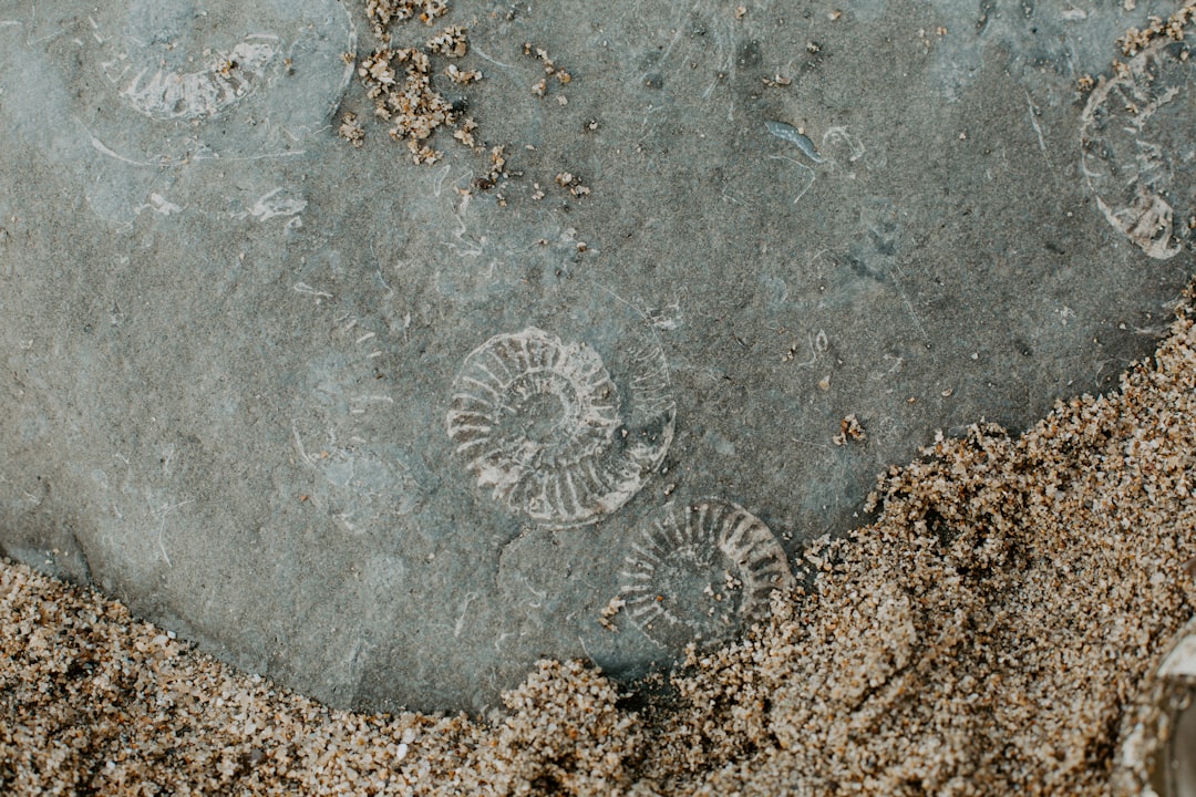 grey round concrete wall with hole, Fossil beach