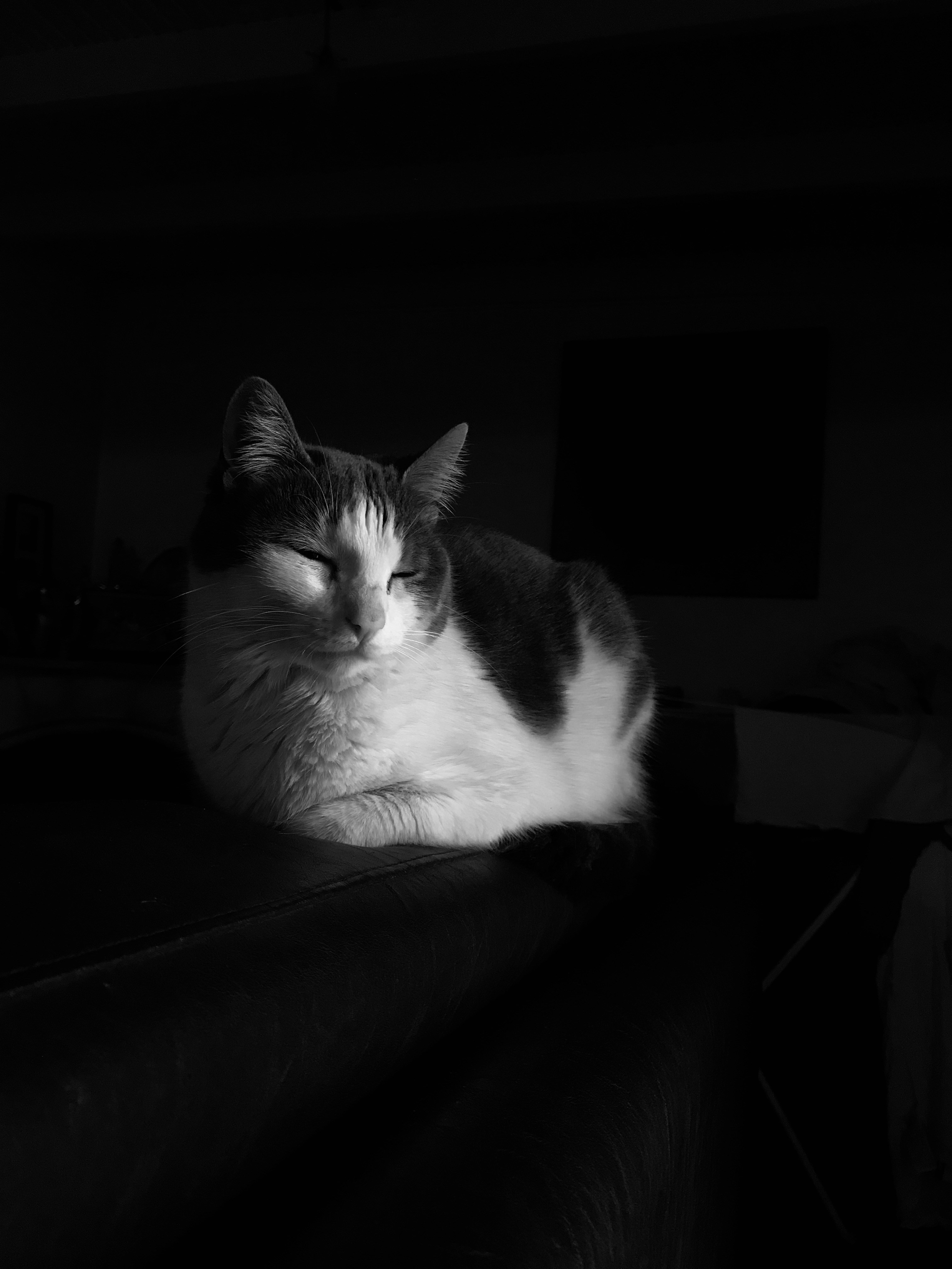 Photo by aguustoscani