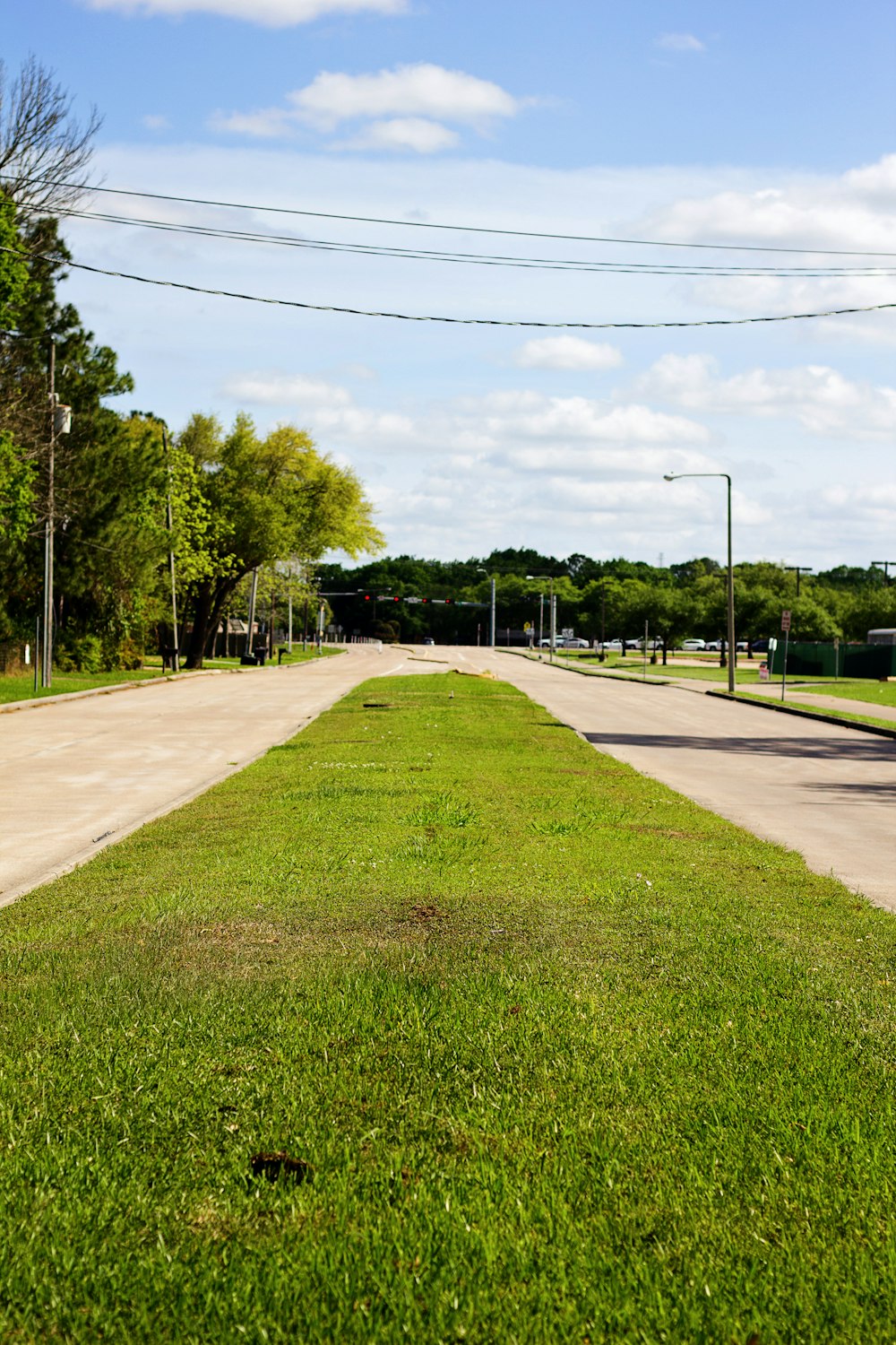 green grass field with trees and lamp posts