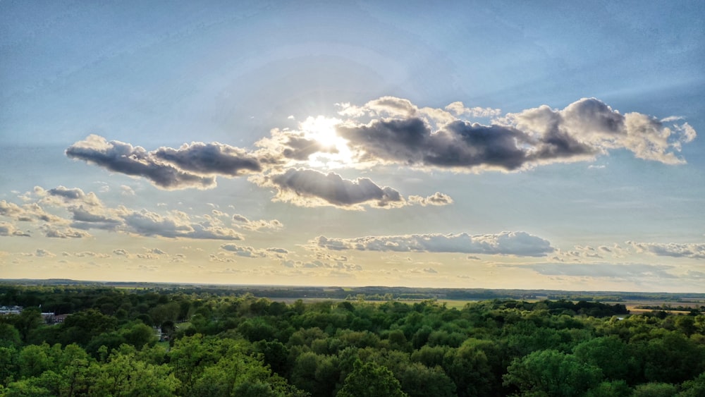 green trees under blue sky and white clouds during daytime