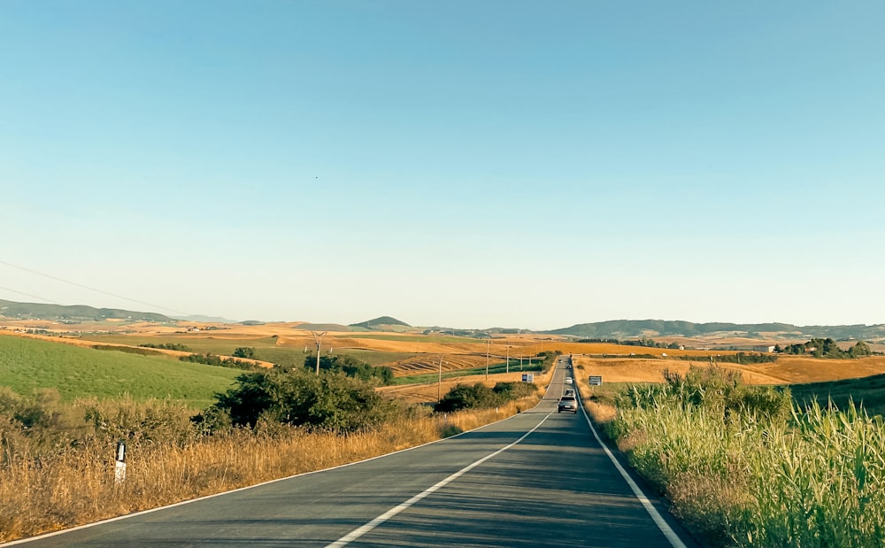 gray concrete road between green grass field during daytime