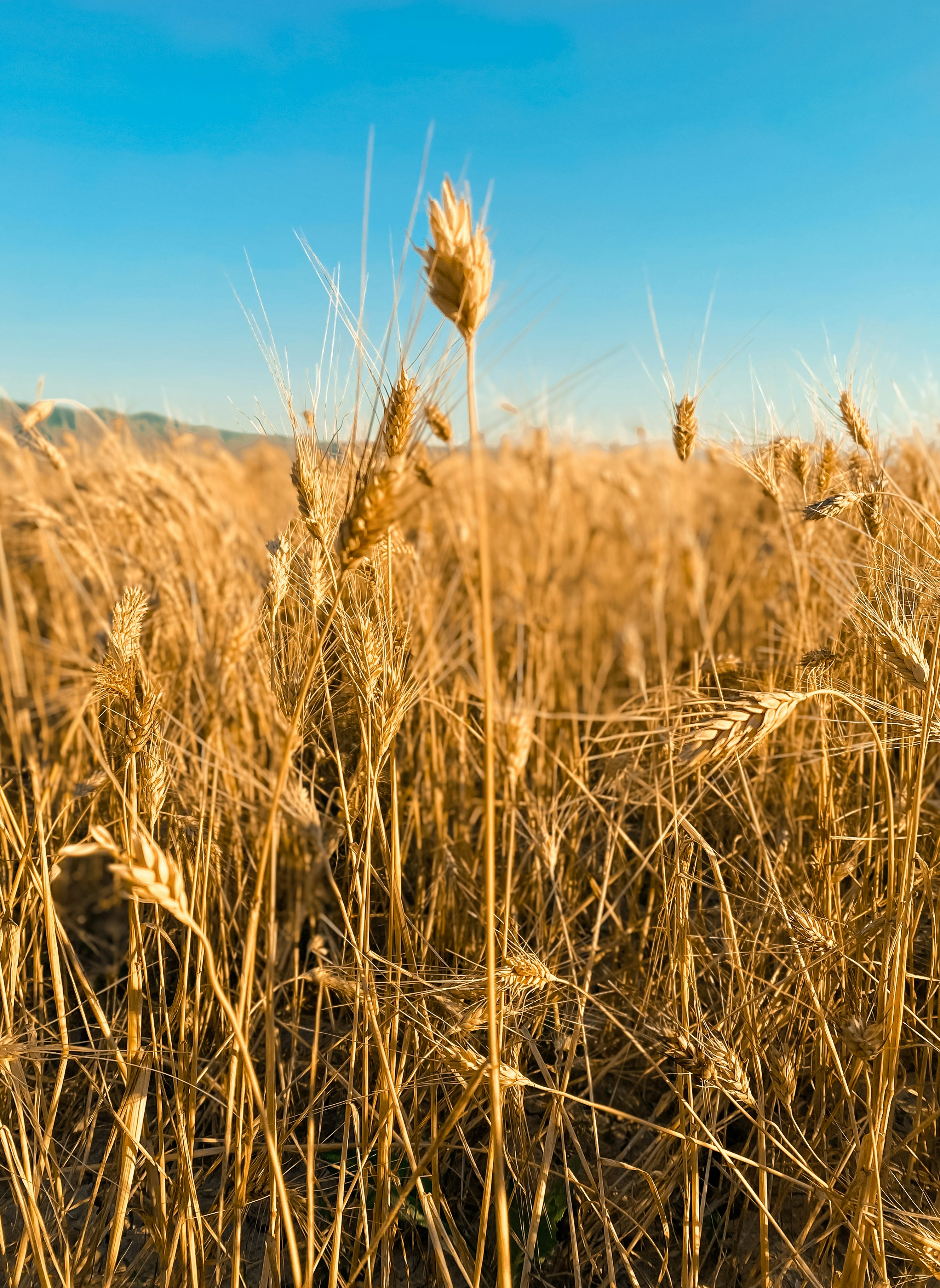 Photo by moiranazzari