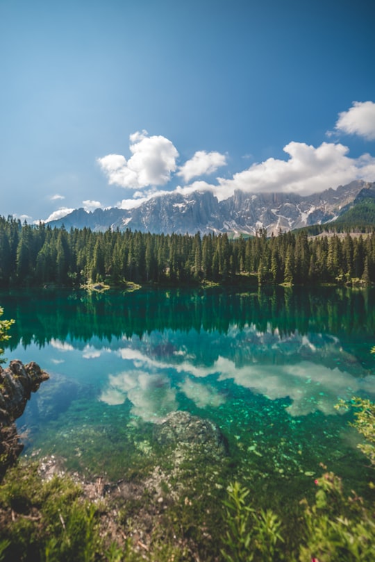 green trees beside body of water under blue sky during daytime in Lago di Carezza Italy
