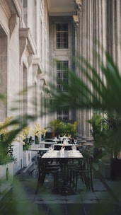 An elegant outdoor dining area is set amidst towering classical columns and lush greenery. The tables are neatly arranged with white tablecloths, sparkling glassware, and neatly folded napkins, creating an inviting atmosphere.