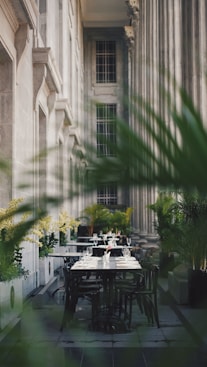 green trees near white concrete building during daytime