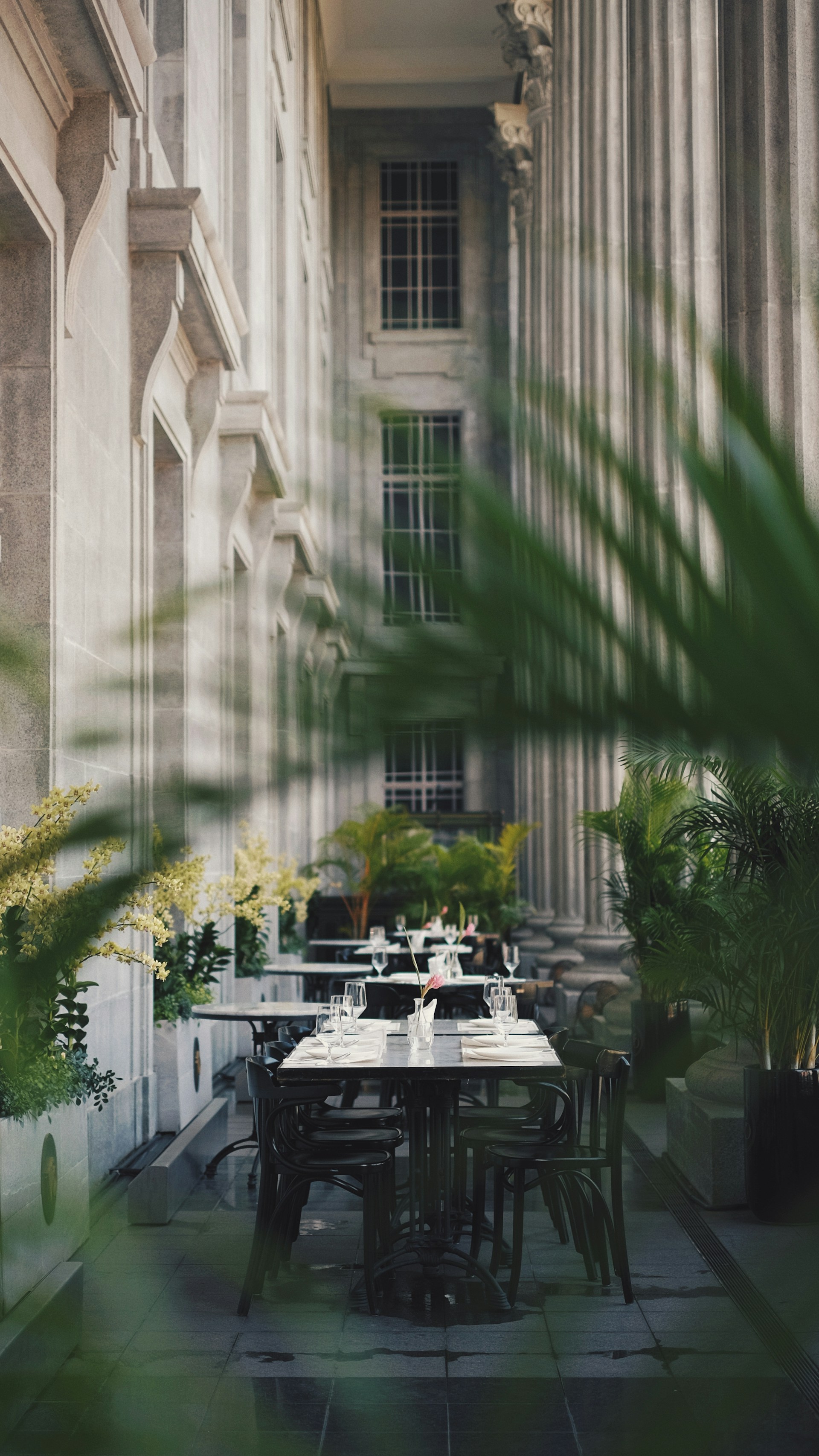 An elegantly set outdoor dining area with white tablecloths and glowing lanterns, surrounded by lush greenery.