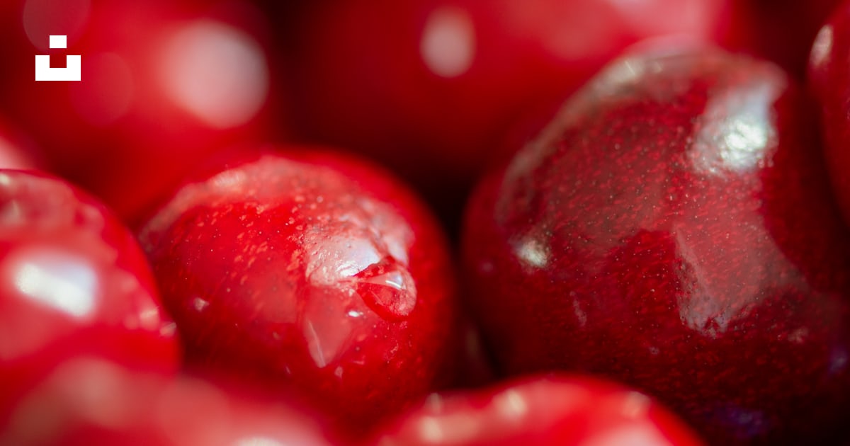 Red round fruits in close up photography photo – Free Food Image on ...