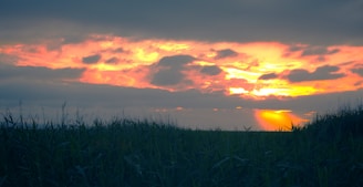 A vibrant sunset over a Nebraska farm field with dramatic clouds.