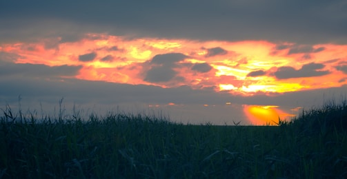 A vibrant sunset over a Nebraska farm field with dramatic clouds.