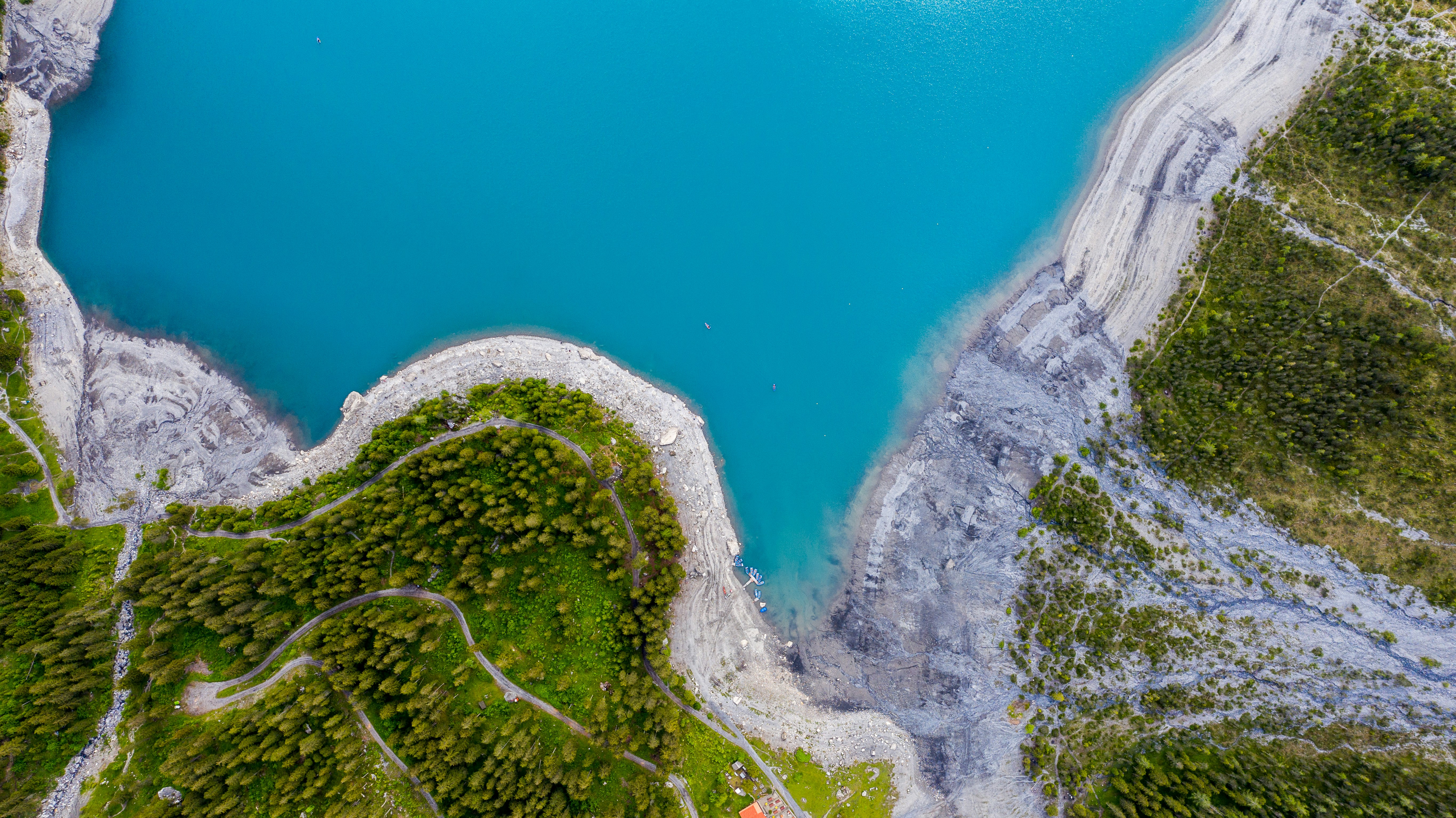 aerial view of green trees and white sand beach