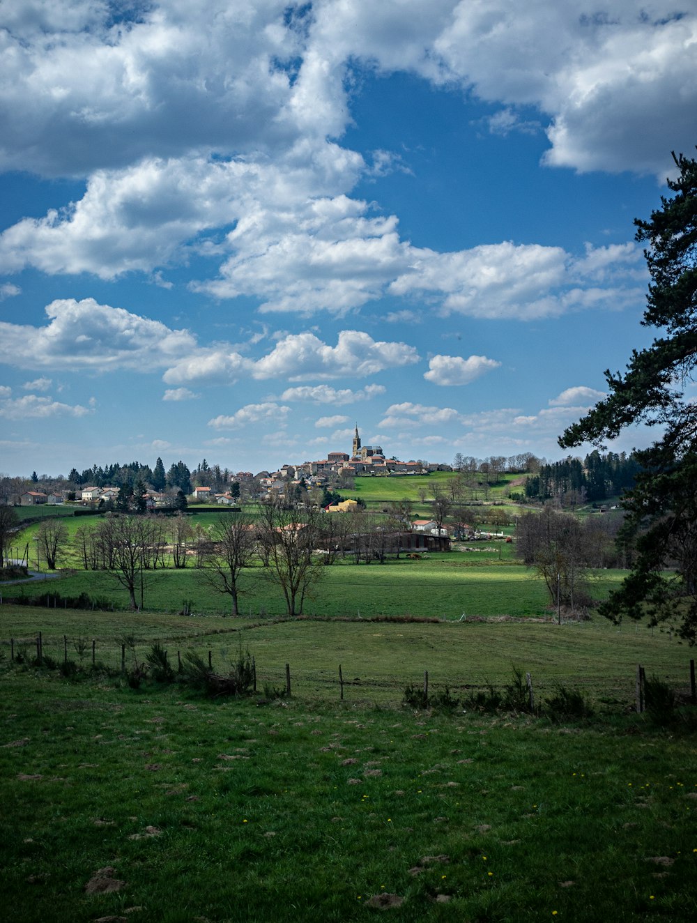 green grass field under blue sky and white clouds during daytime