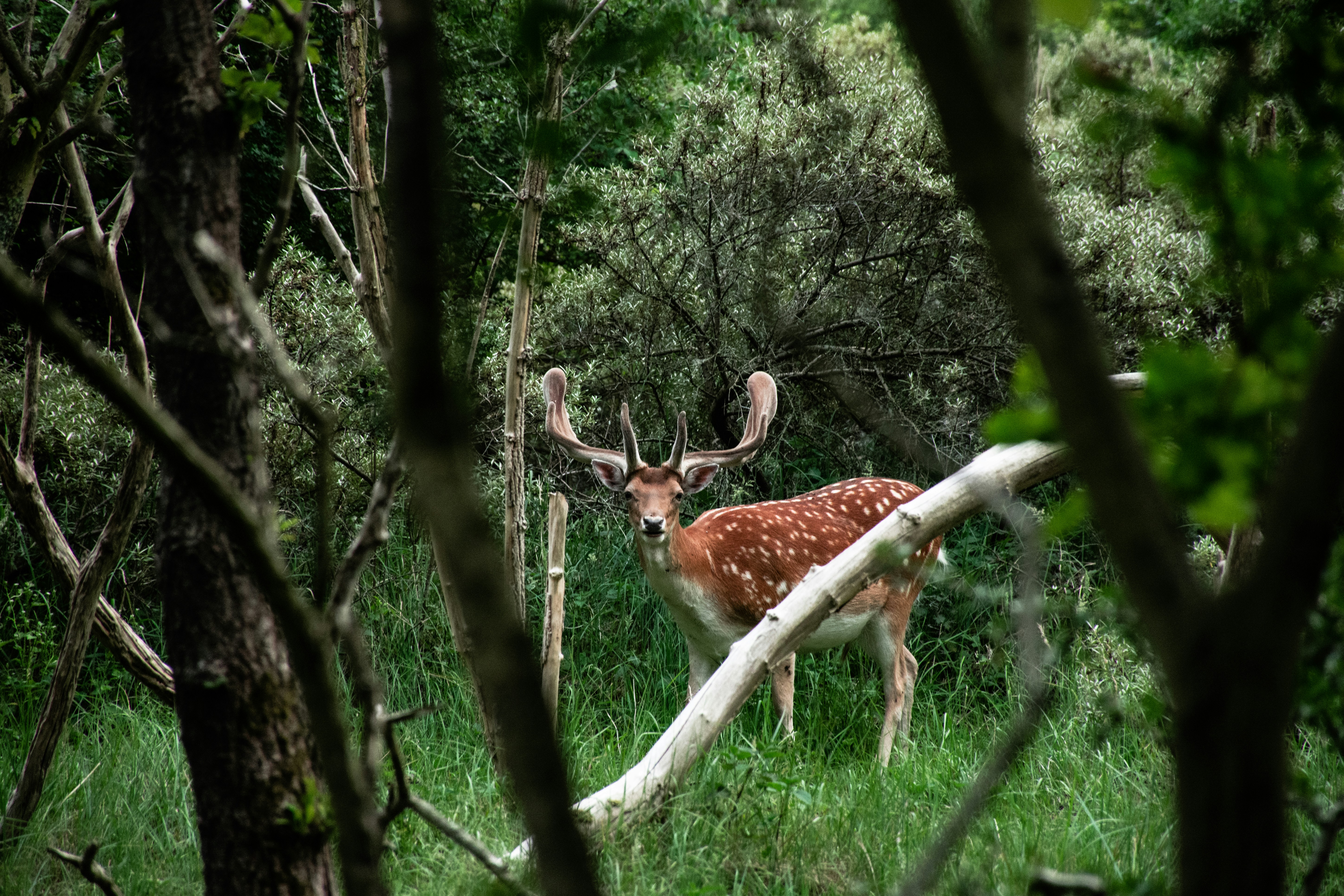Bursa’da su kaynakları alarm veriyor: Baraj doluluk oranı %0,67’ye düştü, planlı kesintiler başladı - Gündem haberi görseli